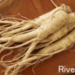 金浦坡州人参農協